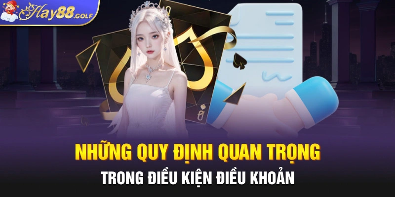 Những quy định quan trọng trong điều kiện điều khoản